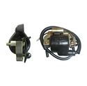 Picture of Ignition Coil 12v AC With Condensor Single Wire (60mm)