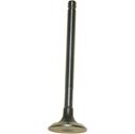 Picture of Exhaust Valve Honda ANF125 03-08