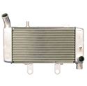 Picture of Radiator Honda VFR800F 1998-2000 Right Hand (Made In Japan)