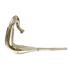 Picture of Exhaust Front Pipe Yamaha DT50MX 81-95