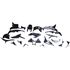 Picture of Fairing Complete Honda CBR600RR 2007-2008 (Black-12)
