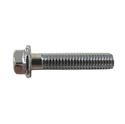 Picture of Bolts Chrome Hexagon 6mm x 16mm (8mm Spanner Size)(pitch 1.00mm) (Per 10)