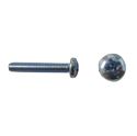 Picture of Screws Large Pan Head 4mm x 10mm(Pitch 0.70mm) (Per 20)
