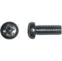 Picture of Screws Pan Head 6mm x 10mm(Pitch 1.00mm) (Per 20)
