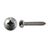Picture of Screws Pan Head Self Taper Lare Head S/less Steel 4mm x 20m (Per 20)
