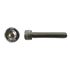 Picture of Screws Allen Stainless Steel 8mm x 55mm(Pitch 1.25mm) (Per 20)