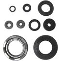 Picture of Oil Seal Kit Yamaha RD250LC, RD350LC