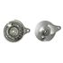Picture of Rear Brake Plate AP50