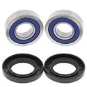 Picture of All Balls Wheel Bearing Kit Front Hon CBR600F 01-06, CB600F 02-12