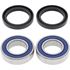 Picture of Wheel Bearing Kit Front Buell, Cag Raptor, Duc 1000, Monster, ST2, ST3, ST4