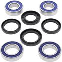 Picture of Wheel Bearing Kit Rear Aprilia RSV Tuono 02-05, Tuono 1000 R 06-15