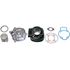 Picture of Barrel Big Bore L/C Piaggio NRG,Runner,Zip,SP,DNA Size 48mm