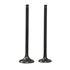 Picture of Inlet & Exhaust Valve Suzuki EN125 (Pair)