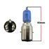 Picture of Bulb Bosch 12v 35/35 Halogen Blue
