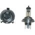 Picture of Bulb P43t 12v 35/35w Halogen HS1 (Per 10)
