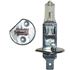 Picture of Bulb H1 12v 55w Halogen