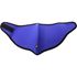 Picture of Face Mask Red + Blue