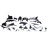 Picture of Fairing Complete Honda CBR600RR 2007-2008 (Black-12)