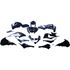 Picture of Fairing Complete Kawasaki ZX10R 2004-2005 (Black-15)