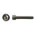 Picture of Screws Allen Stainless Steel 8mm x 55mm(Pitch 1.25mm) (Per 20)