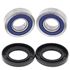 Picture of All Balls Wheel Bearing Kit Front Hon CBR600F 01-06, CB600F 02-12