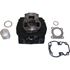 Picture of Barrel Big Bore Suzuki TS50X Bore Size 47mm