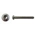 Picture of Screws Button Allen Stainless Steel 6mm x 30mm(Pitch 1.00mm) (Per 20)