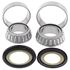 Picture of All Balls Steering Bearing Kit Kawasaki VN800 95-05, 900 06-19, 1500 96-04