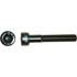 Picture of Screws Allen 6mm x 30mm(Pitch 1.00mm) (Per 20)