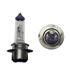 Picture of Bulb P36D 12v 60/55w BPF Halogen Headlight