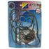 Picture of Full Gasket Set Kit Honda FT500C 82-83