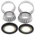 Picture of All Balls Steering Bearing Kit Kawasaki VN800 95-05, 900 06-19, 1500 96-04