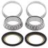 Picture of All Balls Steering Bearing Kit Kawasaki KH500 69-74, H1 500 Mach III 69-75