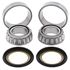 Picture of Steering Bearing Kit Aprillia Pegaso, BMW F650, F800, M-Guzzi California