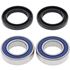 Picture of All Balls Wheel Bearing Kit Front Yamaha YZF-R1 16-18, R6 17-18, FZ10 17