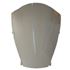 Picture of Screen Acrylic Kawasaki ZX12R 02-05 Light Smoke
