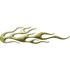 Picture of Flame Trim 200mm x 50mm Adhesive Gold (Pair)