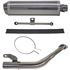 Picture of Exhaust Honda Forza 250 2006- 2008 Stainless Steel