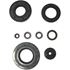 Picture of Oil Seal Kit Kawasaki KH750