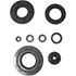 Picture of Oil Seal Kit Kawasaki KH750
