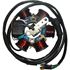 Picture of Generator Piaggio & Gilera 50cc 2T Scooters (8 Wires)
