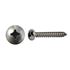Picture of Screws Pan Head Self Taper Large Head S/less Steel 5mm x 20m (Per 20)