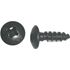 Picture of Screws Self Tap 5mm x 12mm (Pitch 0.80mm) (Per 100)