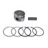 Picture of Piston Kit Scooter STD 4 Stroke (53.70mm)