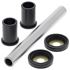 Picture of All Balls A-Arm Kit Hon TRX500FA 01-14, 500FE 05-13, 500FGA 04-08